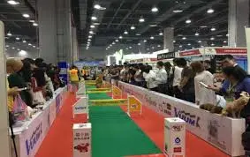 一次性手術電極清潔片