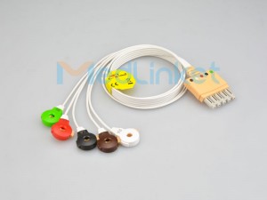 Supply OEM China High Quality Medical Disposable ECG Electrode, 5 Lead Holter ECG Cable