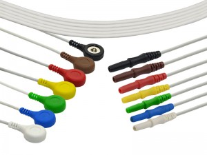 Kabel ECG Perakam Holter dengan Leadwires