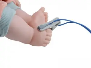 Y 型多部位 SpO2 感測器